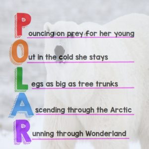 an acrostic poem about a polar bear